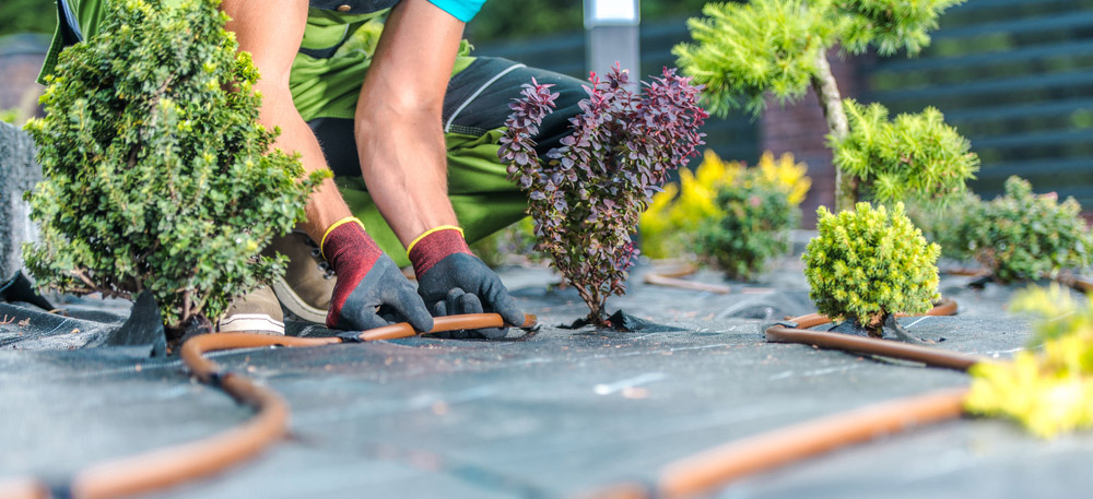 Landscape Irrigation Installation